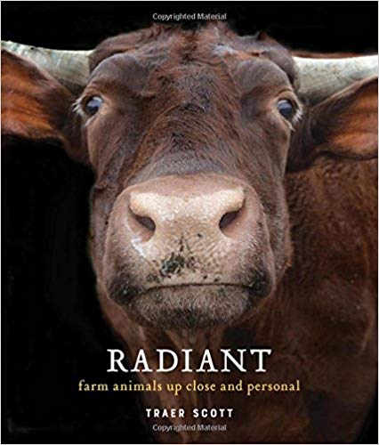 Radiant book cover art